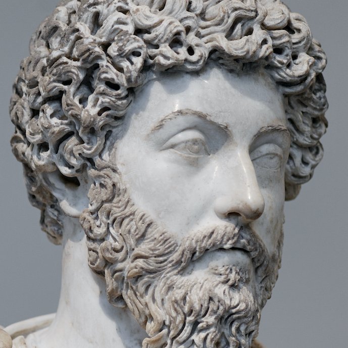 Carnivore Aurelius ©