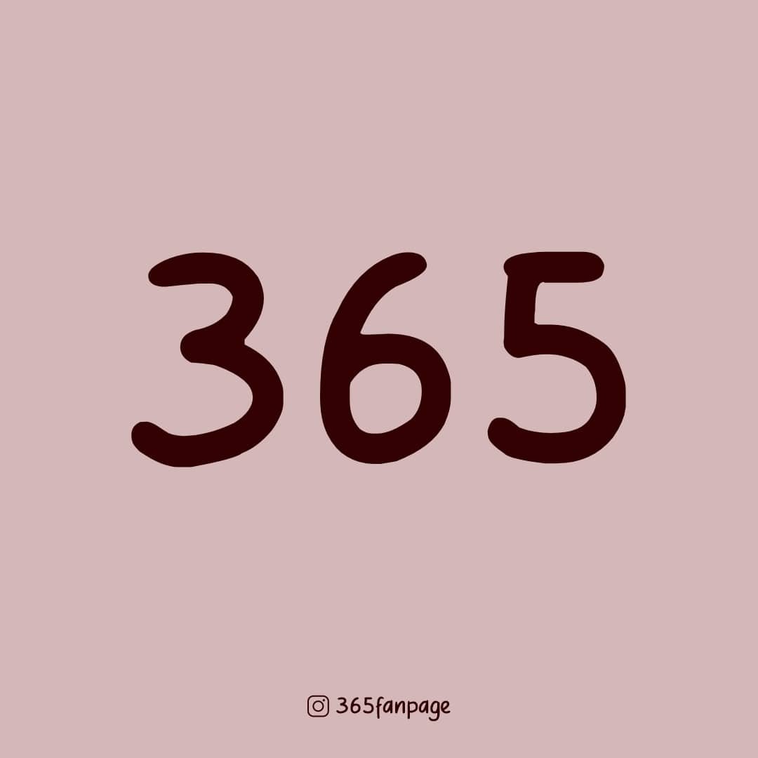 ˗ˏˋ 365 ˎˊ˗