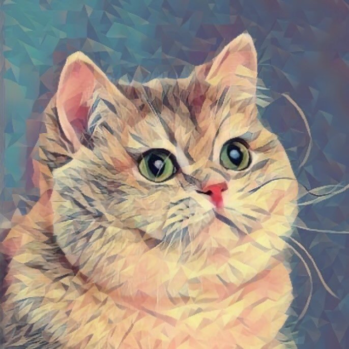 Cats All Day
