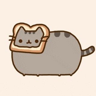 The Daily Kitten ♡ Cats