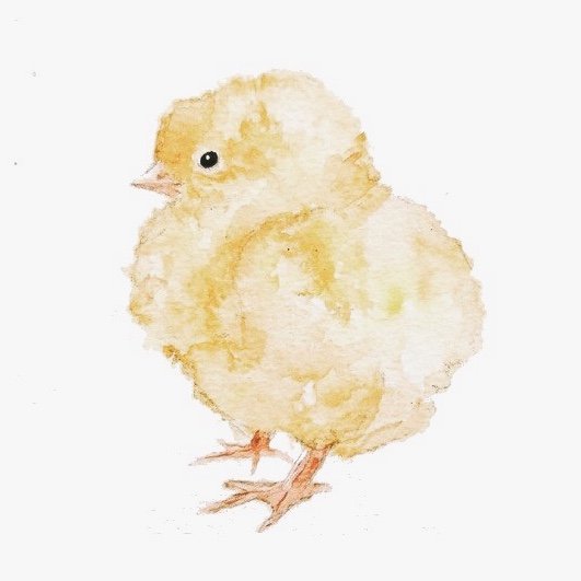 Jane Carkill Illustration