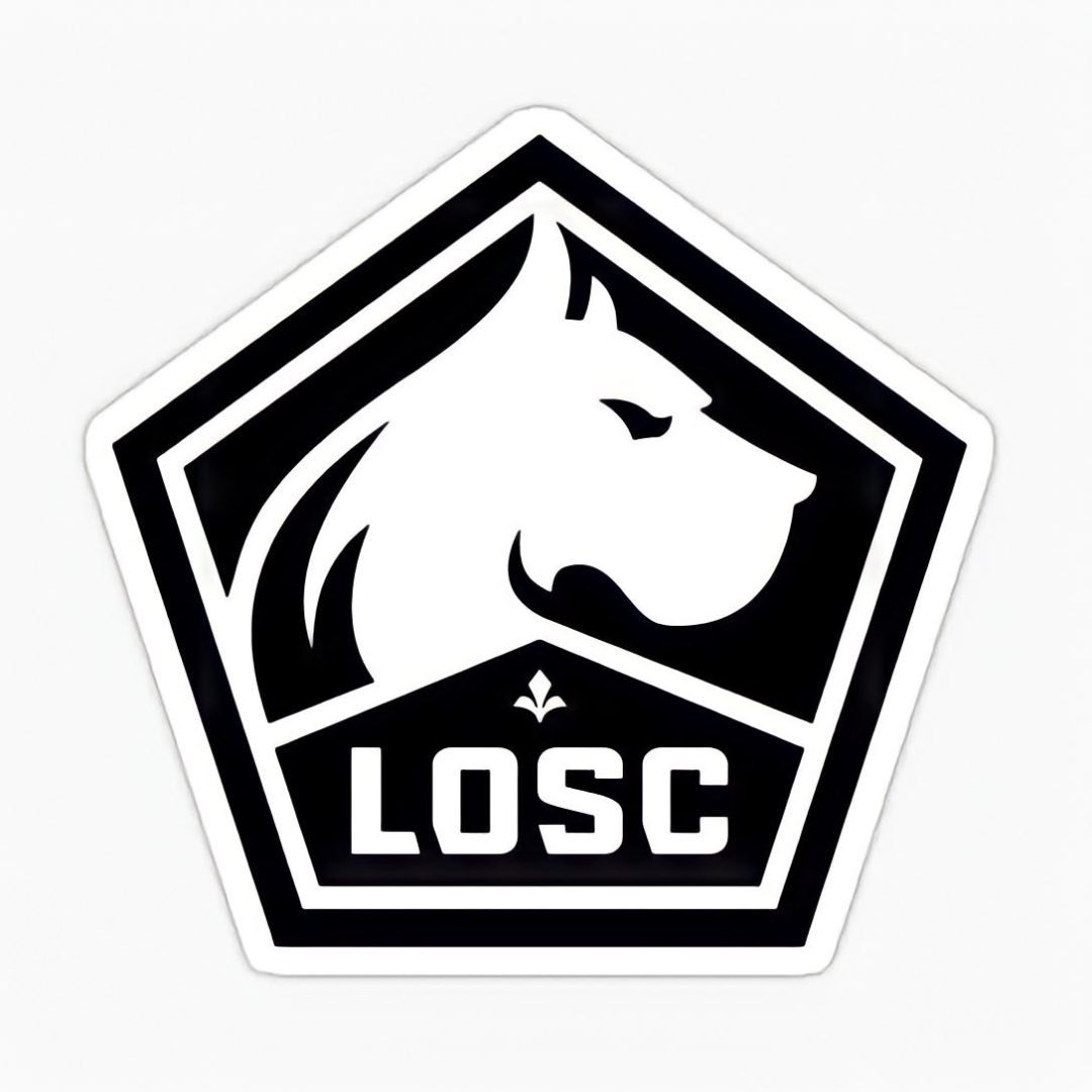 LOSC Lille Turkey