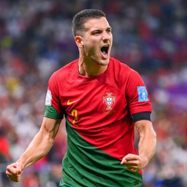 Diogo Dalot
