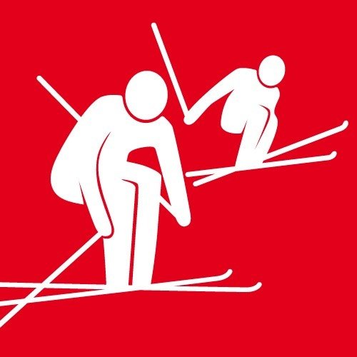 Swiss Skicross Team