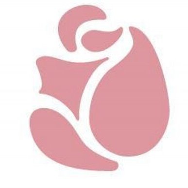 Ballet Rosa | Dancewear