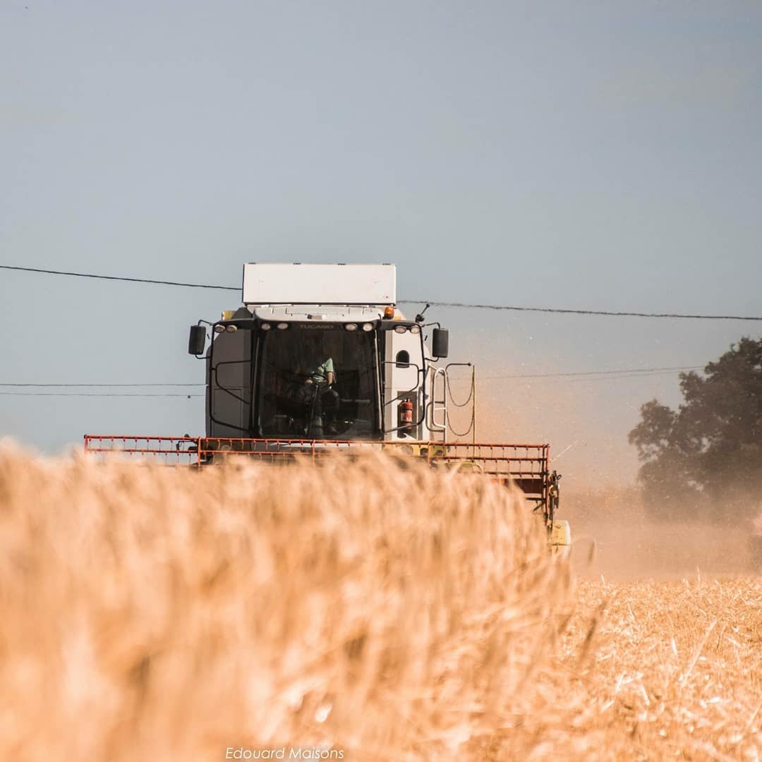 Agri_mb