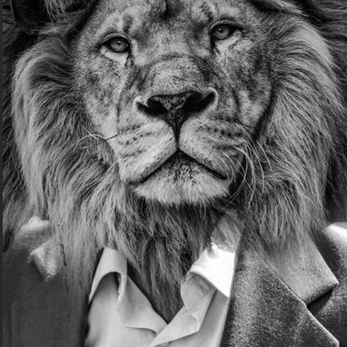 Der Business-Lion