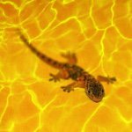 ?????
