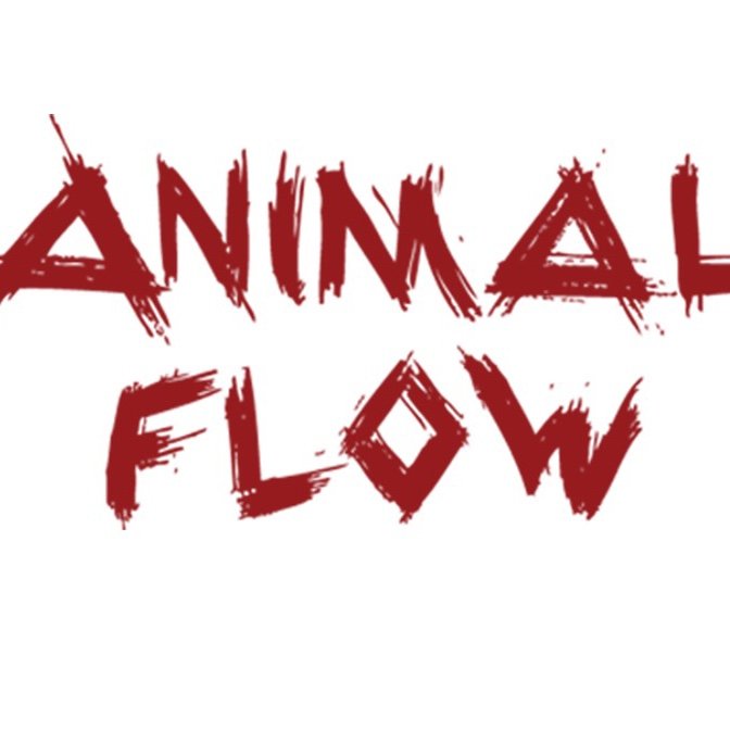 Animal Flow