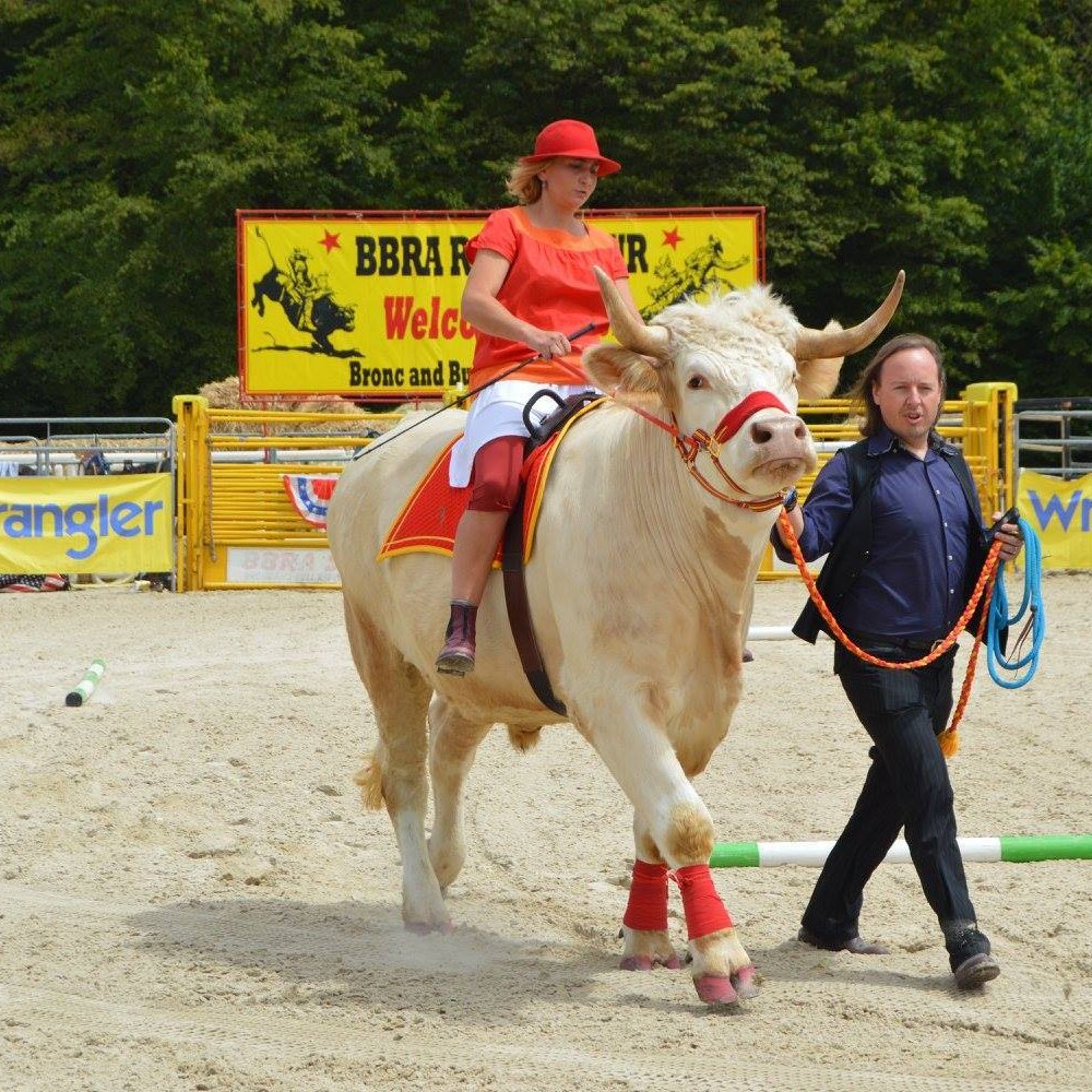 Aston Le Taureau