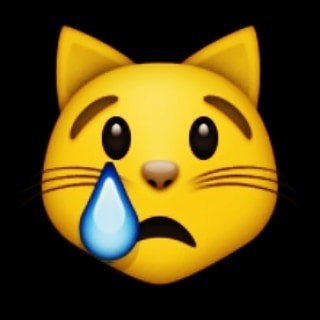 Chat L Chaton L Cat