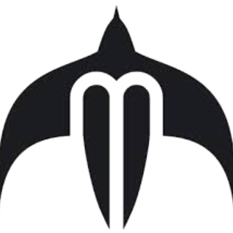 Minvielle Surfboard