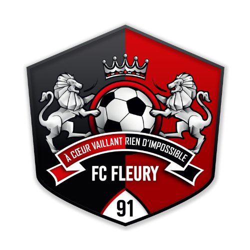 FC FLEURY 91