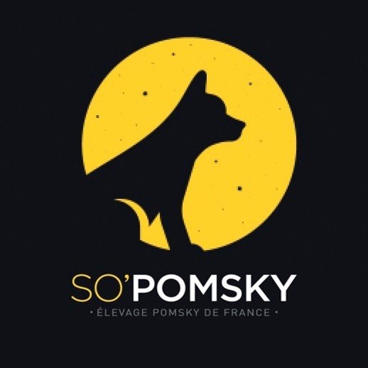 Élevage Pomsky De France