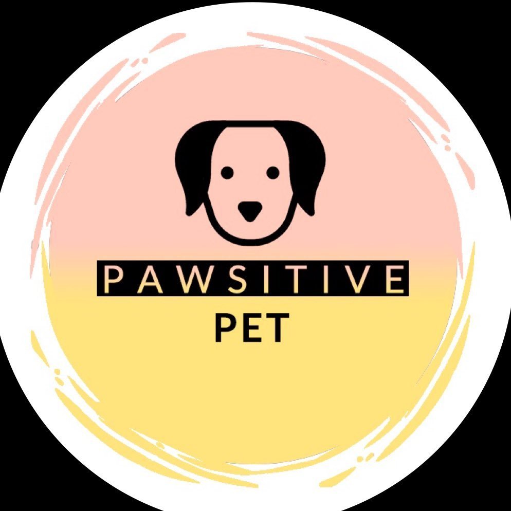 Pawsitive Pet ??| E-Shop Pour Chien ?