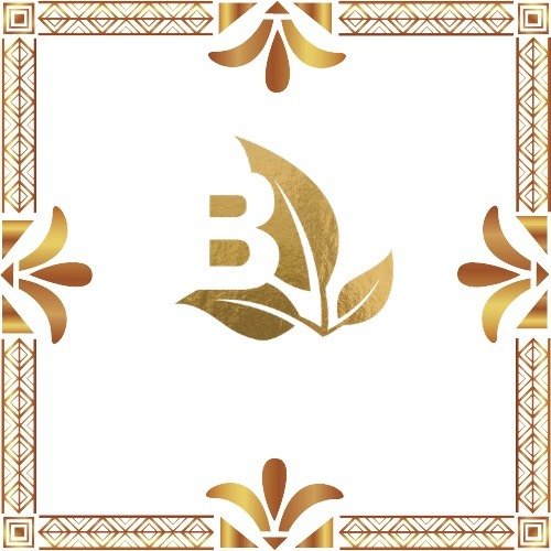 Sayana B