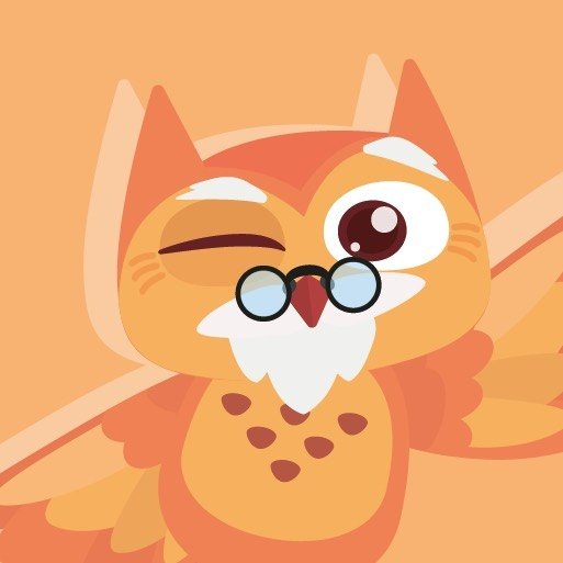 Holy Owly