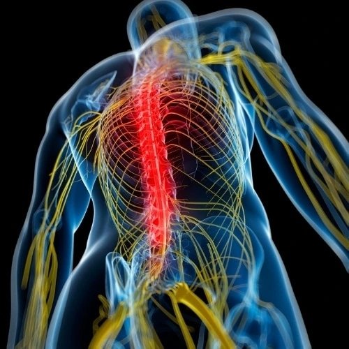 Back Pain | Neck Pain | Relief