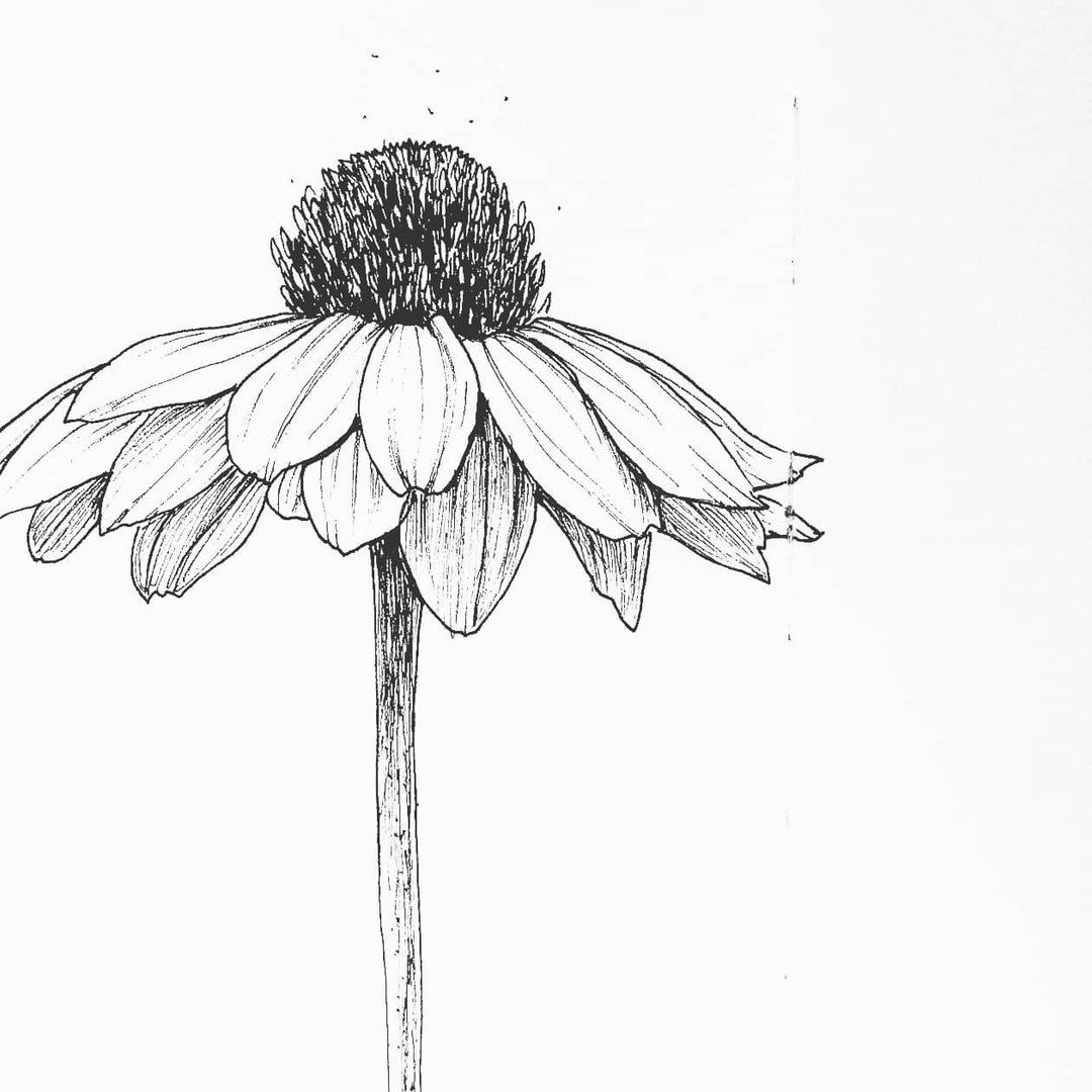 Rosine