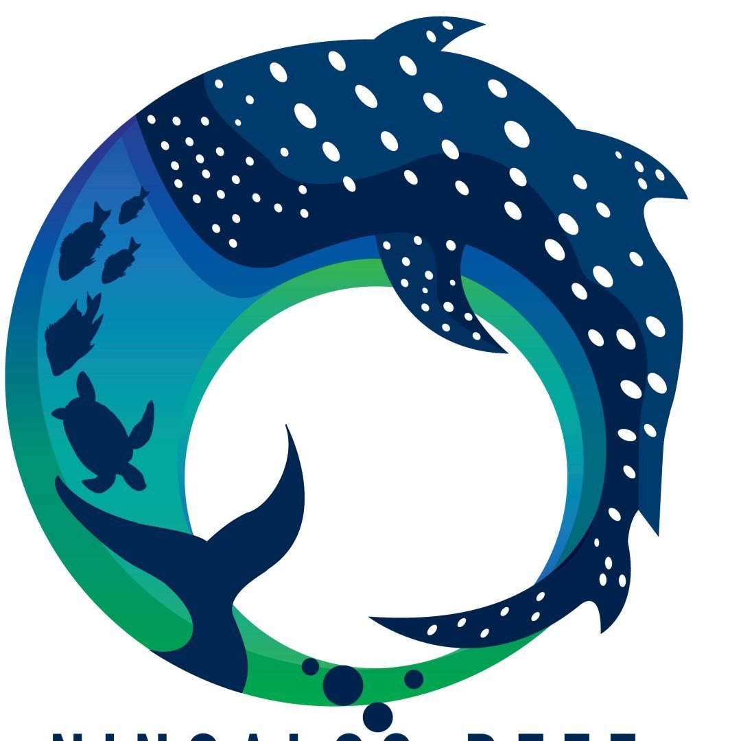 Ningaloo Reef WhaleSharks