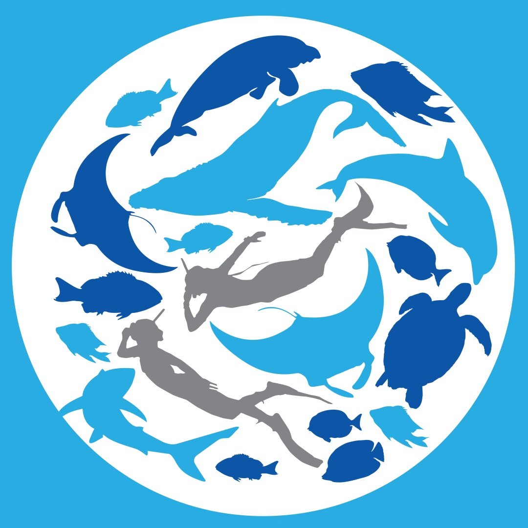 Ningaloo Marine Interactions