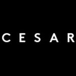 Cesar Kitchens