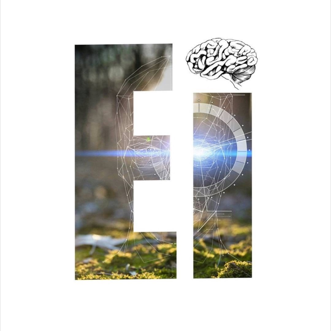 Enter Imagination