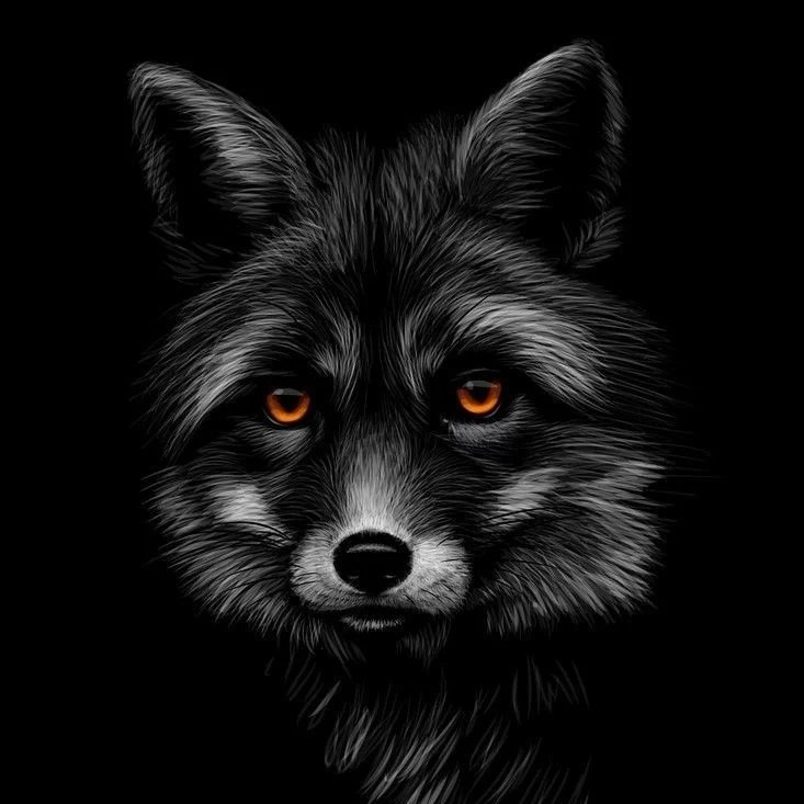 Citations.fox