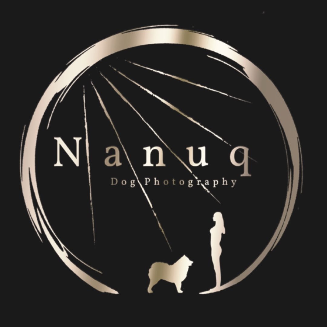 Nanuq Dog Photography