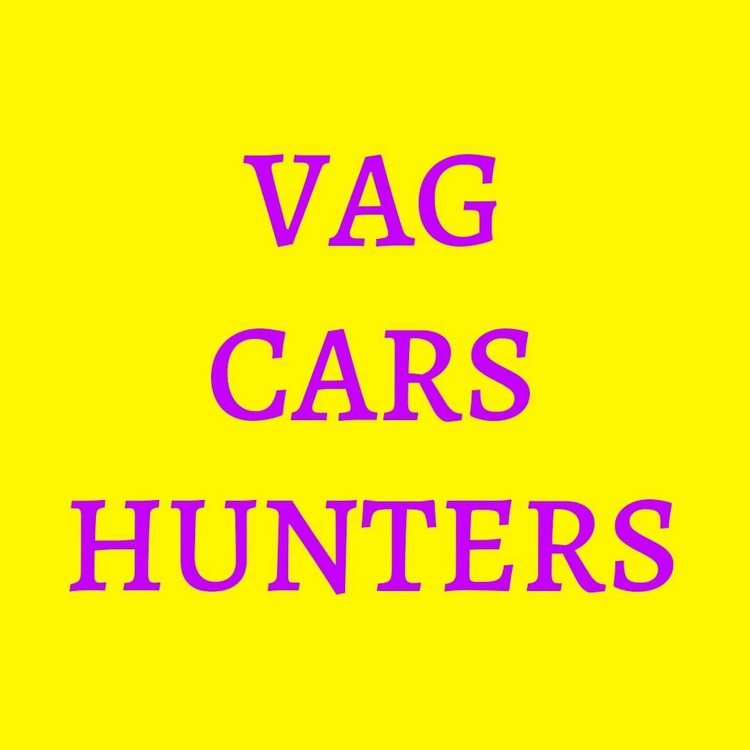 VagCarsHunters
