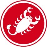 CASTELLI