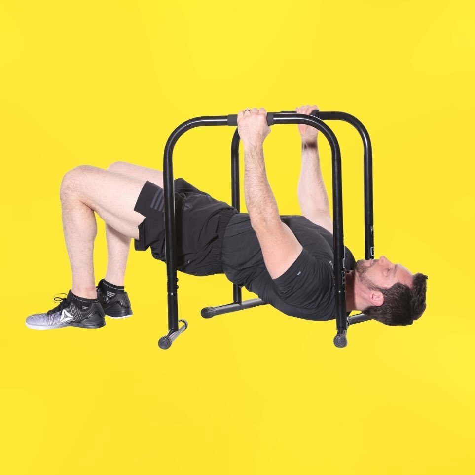 LEBERT FITNESS®️