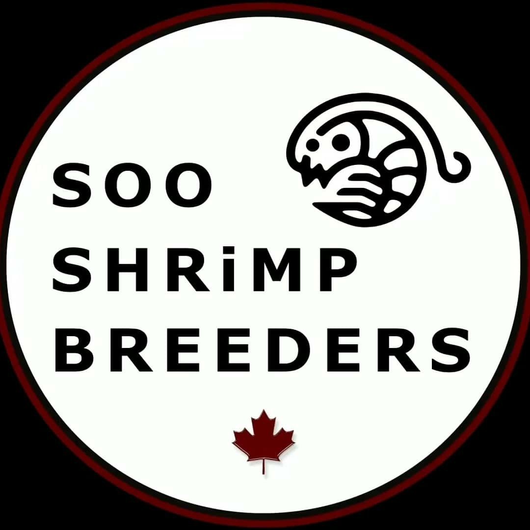Soo Shrimp Breeders