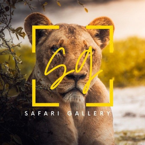 SAFARI GALLERY ?