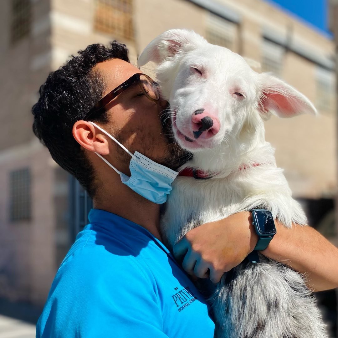 Hospital Veterinario PRÏVET