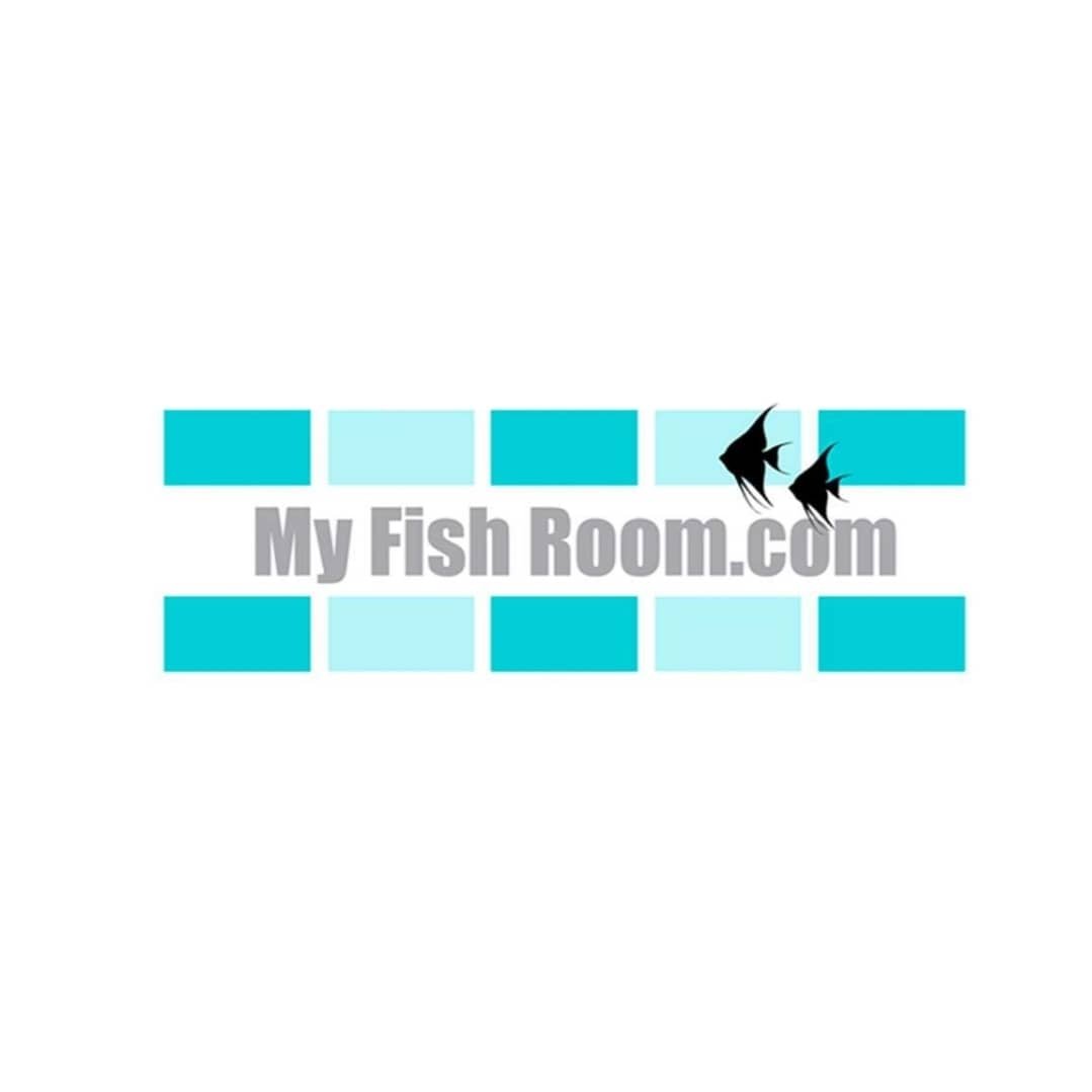 My Fish Room