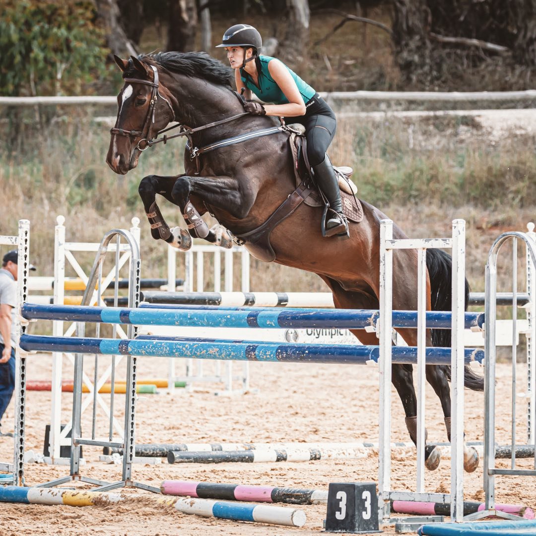HLH Equestrian
