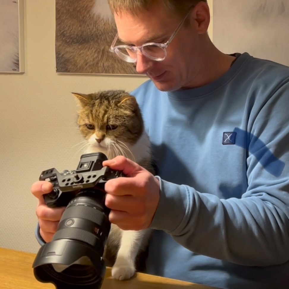 THE CATOGRAPHER
