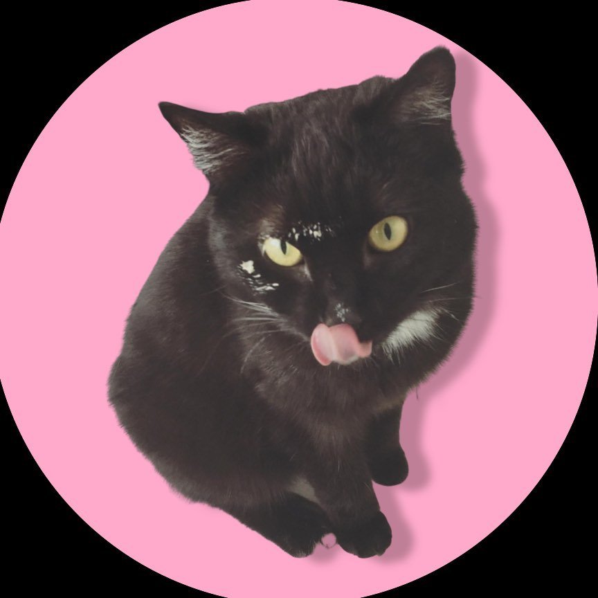 HILDEGARD - Schmitz‘ Katze