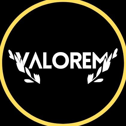 VALEUR™️ | ELVEDIN