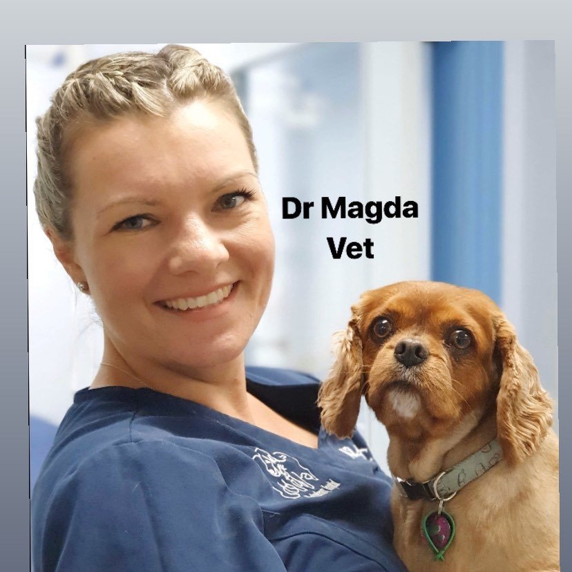 Dr Magda Upton BSc BVMS