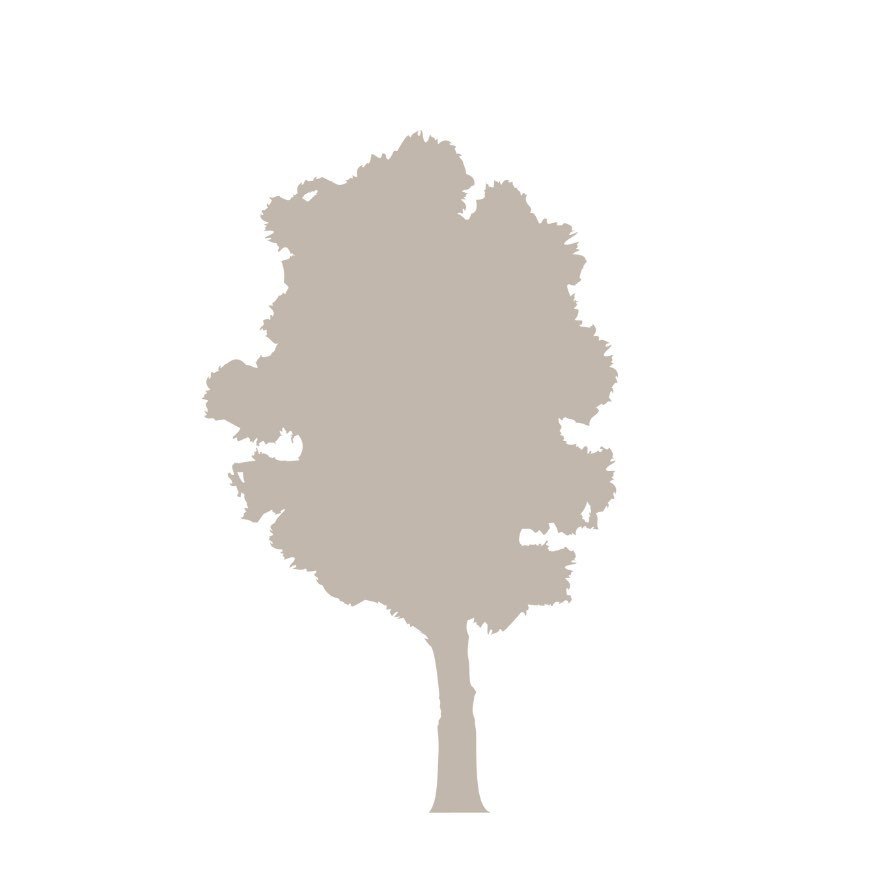 Fota Island Resort