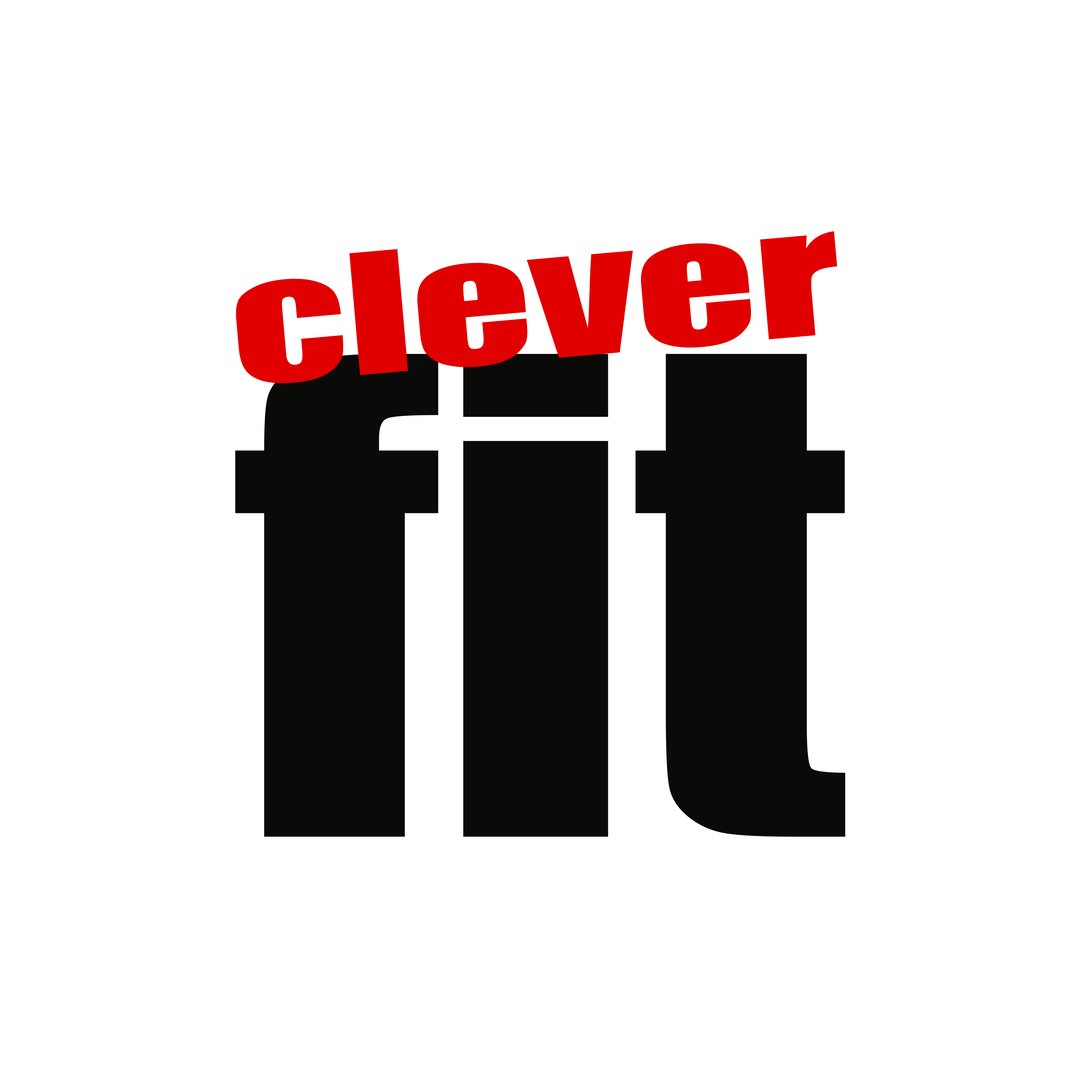 CLEVER FIT ®