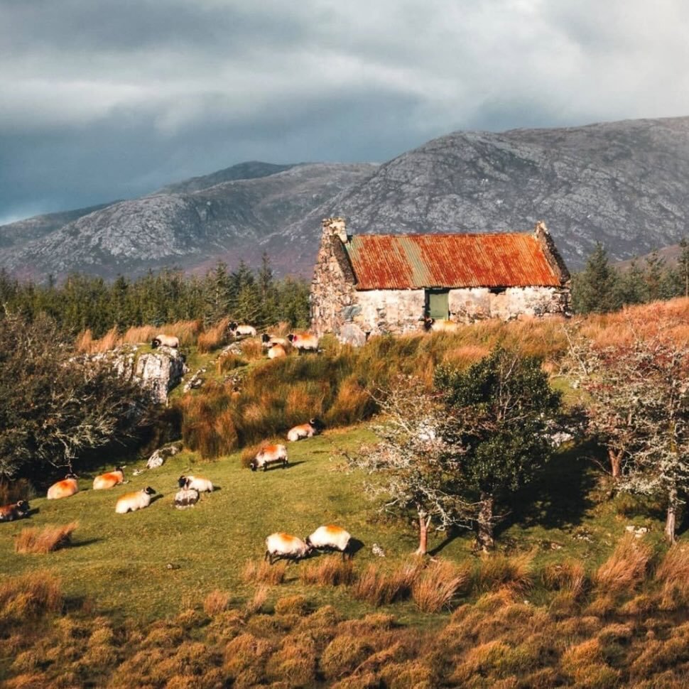 Eileen | IRELAND