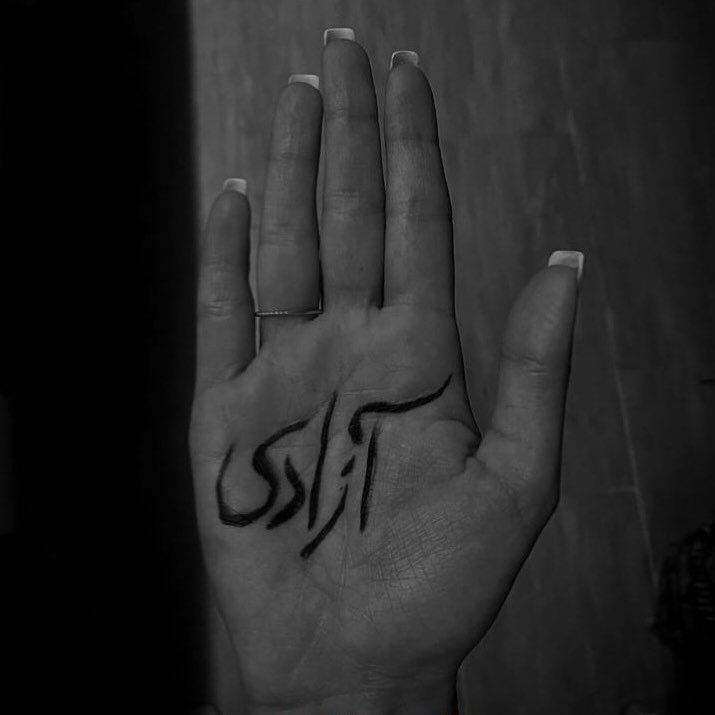 🖋Nilofar Neshatian