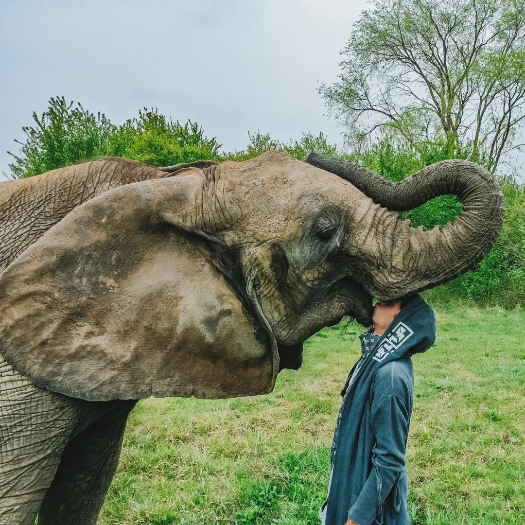 Rene Casselly / Elephantboy