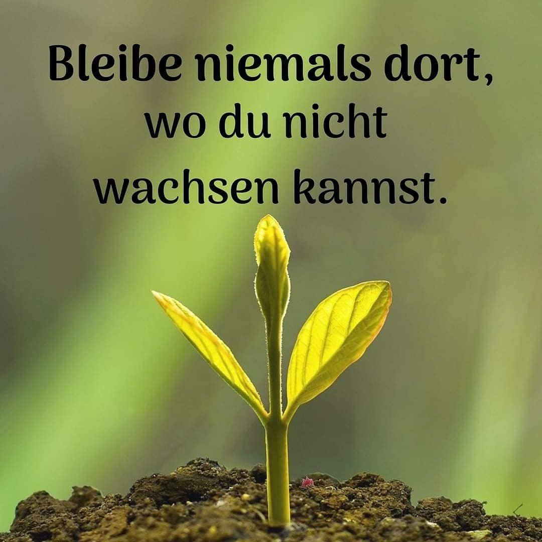 Gefühle, Gedanken