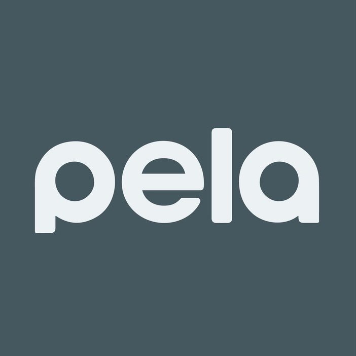 Pela Case