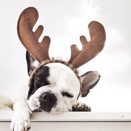 DreaminChristmas
