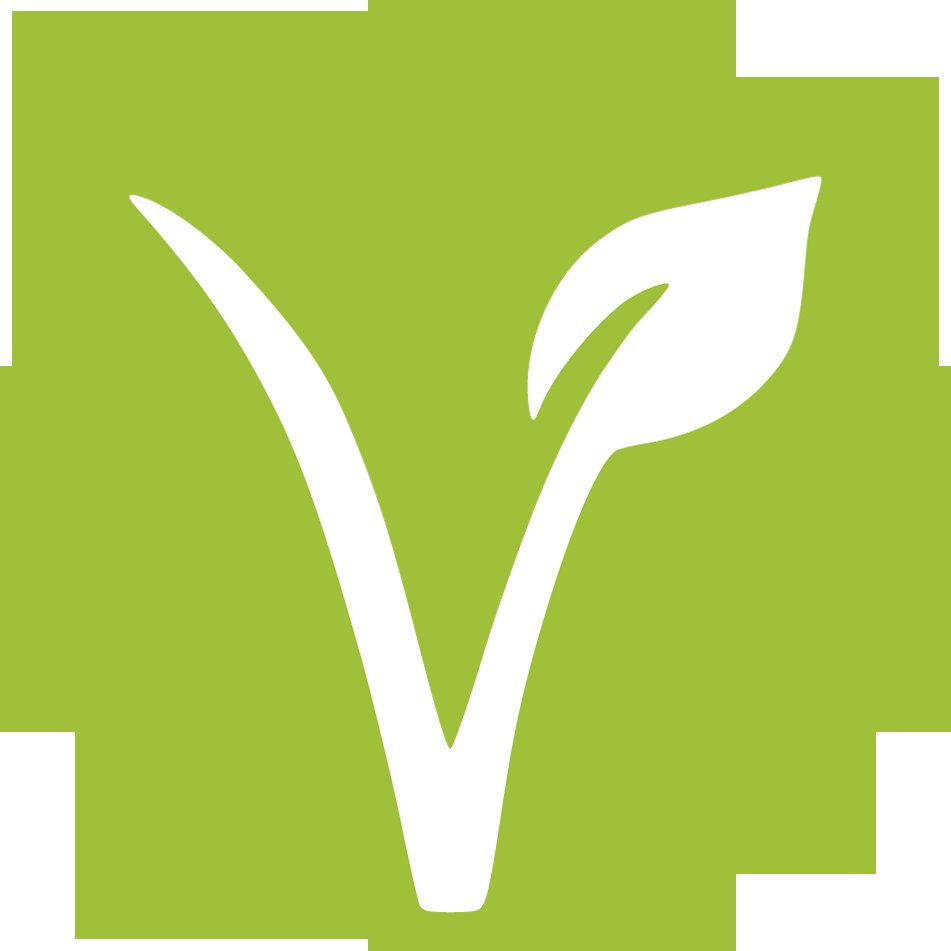 Vegan Recipes
